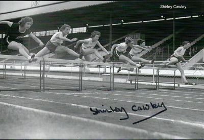Kliknij aby zobaczyć pełny rozmiar