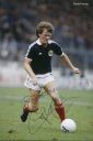Provan_David.JPG